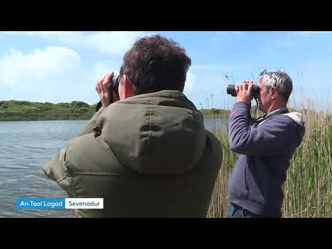 Les amoureux de la Baie d'Audierne s'exposent tout l'été à Tréguennec