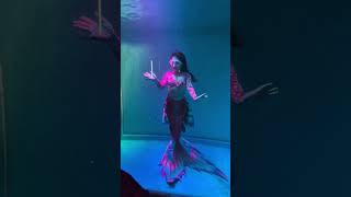 Download lagu jalakanya in exhibition atp #viralvideo #shortsfeed #viralvideo #explore #mela #jalakanya #anantapur mp3 Download lagu jalakanya in exhibition atp #viralvideo #shortsfeed #viralvideo #explore #mela #jalakanya #anantapur mp3