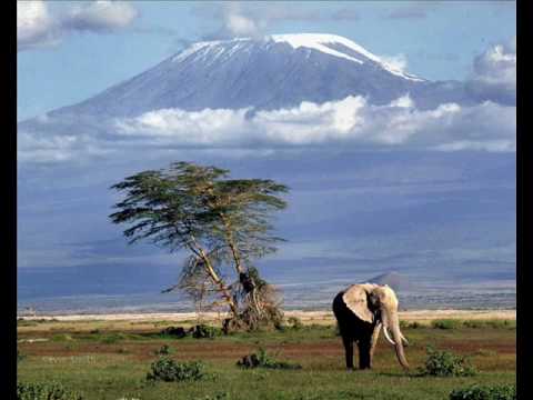 Michael Cassette - Kilimanjaro
