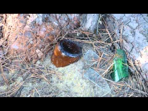 Do czego służą drzewa?