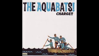 383 - Aquabats - Hot Summer Nights