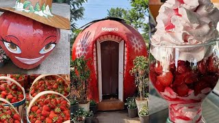 Mapro Garden Lonavala | must visit this place | RB Vlogs