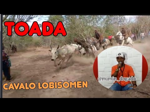 Toada cavalo lobisomem cantada por MIMIN DO GADO