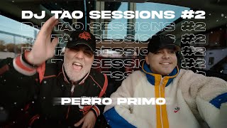 PERRO PRIMO | DJ TAO Turreo Sessions #2 Lyrics English Translation