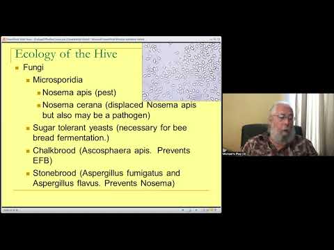 Michael Bush : Erfahrungen und Ergebnisse der behandlungsfreien Bienenhaltung
