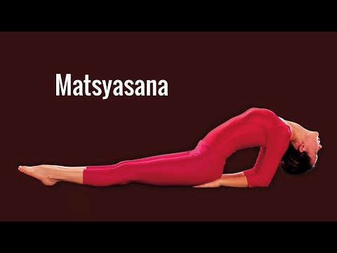 Matsyasana,  a  beginners Yoga  pose