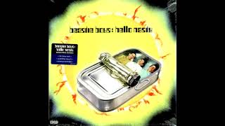 20 Questions Version - Beastie Boys