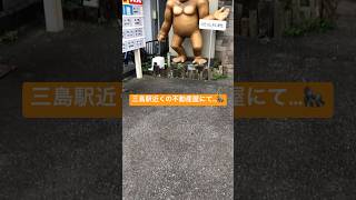 完全に目が◯んでる…🦍 #おすすめ #静岡県 #ギャグマンガ日和
