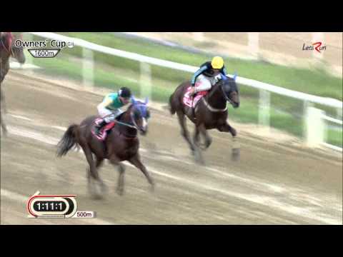 Busan Owners' Cup 2015 - Rock Band