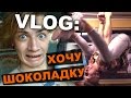 VLOG: Хочу шоколадку / Андрей Мартыненко 