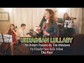 Ukrainian Lullaby - "The Dream Passes by the Windows" - Ola Rud