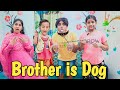 Brother is Dog 🐕 | comedy video | funny video | Prabhu sarala lifestyle
