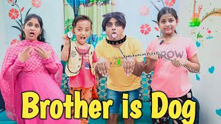 Brother is Dog 🐕 | comedy video | funny video | Prabhu sarala lifestyle