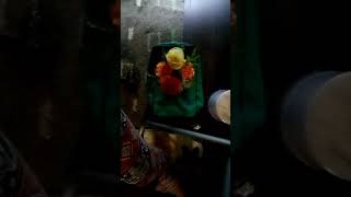 Daite by:Seiko Matsuda