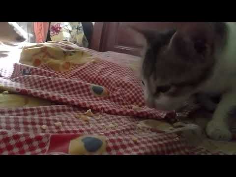 Me and my true friendz spend lazy time