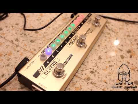 Valeton MES-4 | Dapper Acoustic Mini Multi-FX Pedal for Acoustic Guitar.  New with Full Warranty! image 11