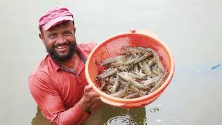 জাতীয় মৎস্য পক্ষ ২০২৬ ডকুমেন্টারি