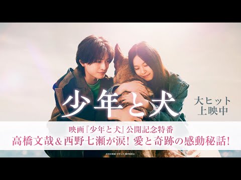 少年と犬 Video3