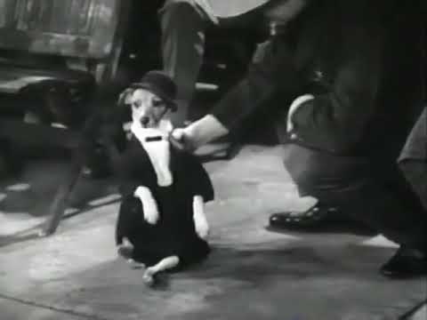 Cartoon Network Responds - Is Your Network Completely Insane? (1997)