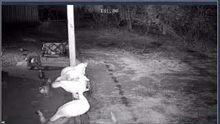 Thumbnail del capítulo