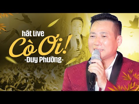 Cò Ơi - Duy Phường | Bài Hát Khiến Ai Nghe Cũng Khóc