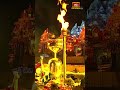 బంగారు లింగోద్భవం.. ఈ అపురూప దృశ్యాన్ని కనులారా చూసి తీరాల్సిందే..! #kotideepotsavam2025 #bhakthitv - Video