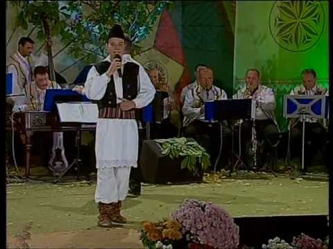 Albesteanu 2009 - Ionut Badea - Rozmalin Banatenesc