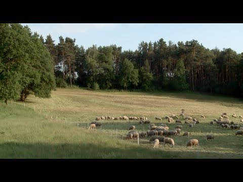 Escape to Olganitz - Nachtdigital documentary (english subtitles)