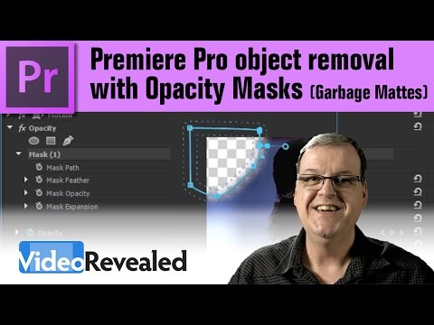 Premiere Pro object removal with Opacity Masks (Garbage Mattes)