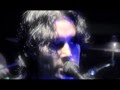 Dave Navarro and The Panic Channel - Ashes ...