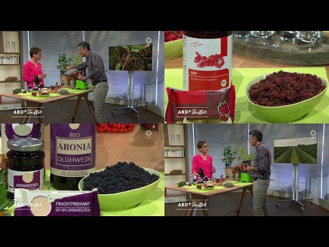 Anbautipp für den Garten - Aronia und Goji