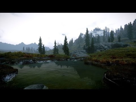 Tibles 2009 Iulian Calistru Predica