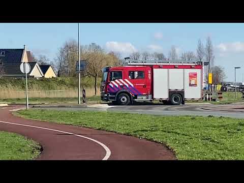 P2 BMD-01 BR Gerucht Kiekendief Ts25-6531