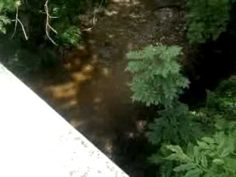 Schild fällt in Steina