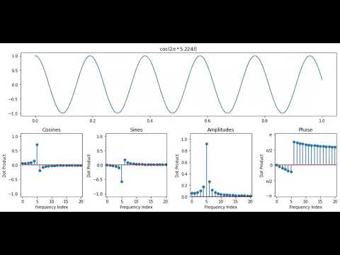 The Discrete Fourier Transform of A Frequency Scaling Cosine