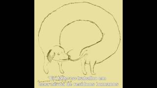 Crywank - Do You Have PPE For Self-Esteem? - Legendado