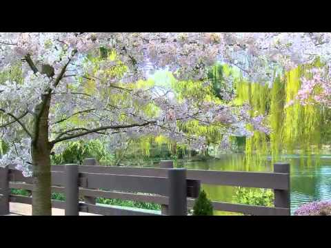 Wstaje nowy dzień -  Krzysztof Krawczyk