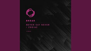 Never Say Never (Original Mix)