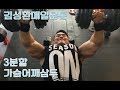 가슴어깨삼두운동 [2017김성환매일운동3분할]