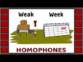 Homophones | Examples of 60 homophone pairs | English Vocabulary | Homographs | Homonyms