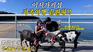 오키나와 n번째 일본 현지인이 추천하는 "이시가키섬"가족여행 끝판왕(2)ㅣ없는게없는(?)후사키비치 리조트ㅣ한일혼혈 육아브이로그