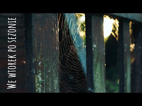 We wtorek po sezonie - Piosenki harcerskie