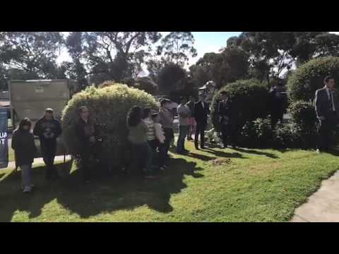 20/05/17 | Melbourne Real Estate Auctions | 246 Boronia Road Boronia 3155