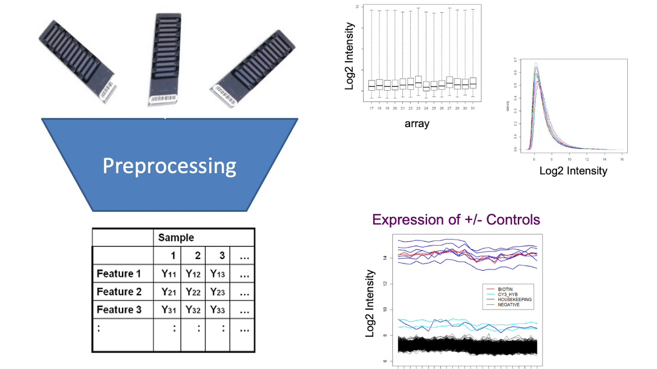 PM579 Microarray Gene Expression Data