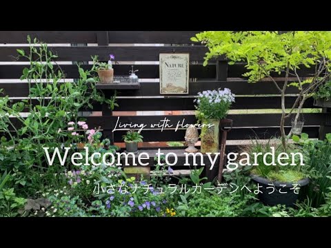 休憩所のある小さな庭 - 庭を設置するにはどうすればよいですか?  庭園