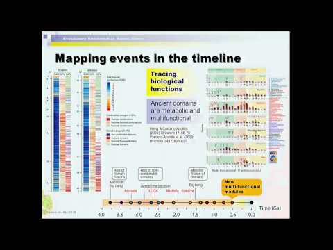 Gustavo Caetano-Anolles: The Phylogenomic Roots of Modern Biochemistry