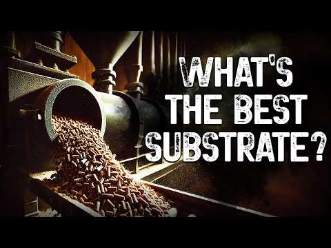 Choosing the best substrate for your mushroom farm