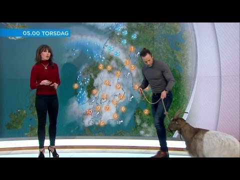 Här överraskas meteorologen - Någon vill ha bääättre väder - Nyhetsmorgon (TV4)