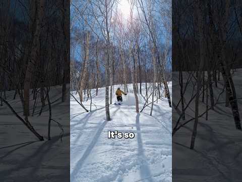 What&#39;s it like skiing in Naeba, Japan?