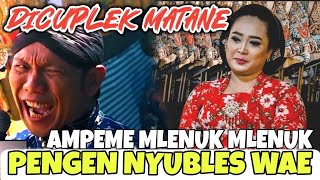 Download lagu AMPEME TATIN MLENUK DIGEMBOSI PAK SENO || LIMBUKAN LUCU KI SENO NUGROHO mp3